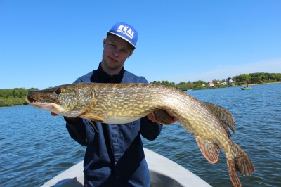 Johan Bjerg fangede denne 8,3 kg gedde i Furesøen. Samme tur gav i øvrigt også en på 8 kg.