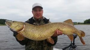 Søndag d. 21. juni fangede Jimmi Pedersen denne gedde på hele 13,5 kg.
