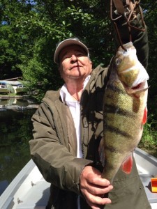 Vægten viste 1,5 kg. og måletbåndet 47,5 cm. Overlistet af en lille agnfisk og fisket på en 0,30 line.