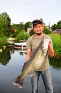 Årets hidtil største sandart på 8,10 kg er fanget af Anders Boes. En sådan fisk burde vel nok kunne afvinge et lille smil. Må sikkert bero på en fejl, da Anders normalt er en glad gut.