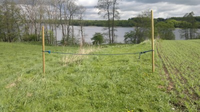 Hertil og ikke længere, men så er man også meget tæt på. Husk at det kun gælder af- og pålæsning. Ikke parkering.